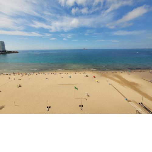 Las Damas estudio-Fincas Benidorm