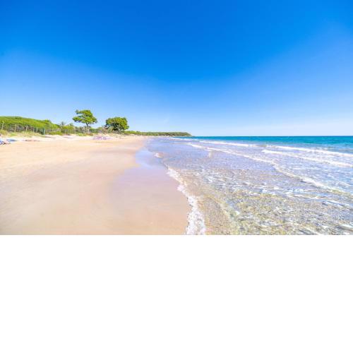 Las Palmeras Camping & Bungalow