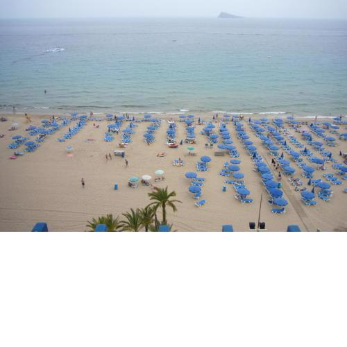 Las Palmeras III- Fincas Arena