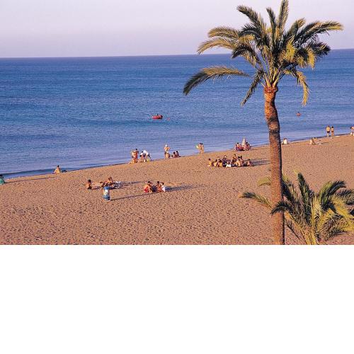 LAS PERLAS - 1º Linea