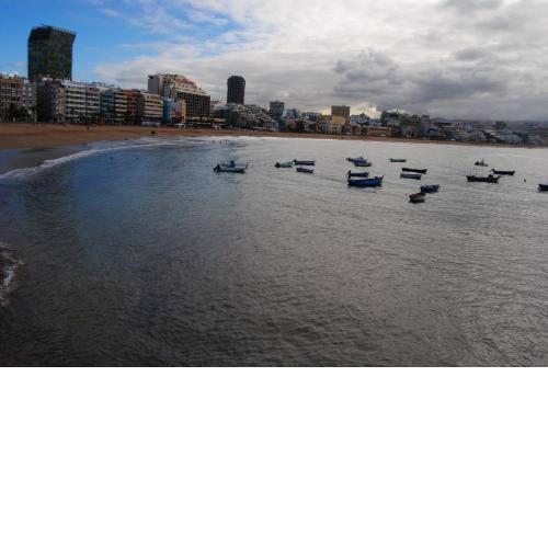 Lavanda Playa