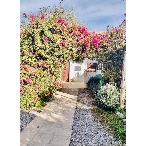 Lavender Lodge Almeria