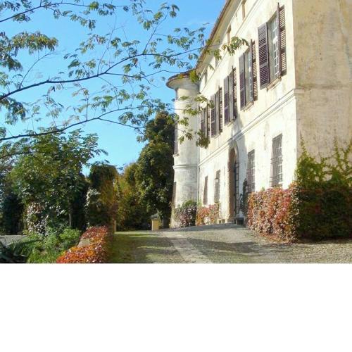 Lavish Apartment in Rocca Grimalda near Forest