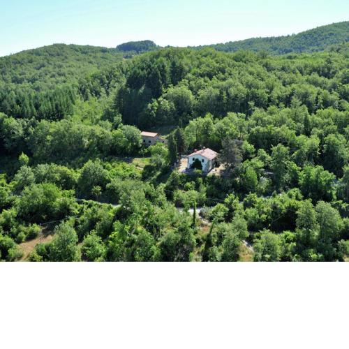 Lavish Farmhouse in Ortignano with Swimming Pool