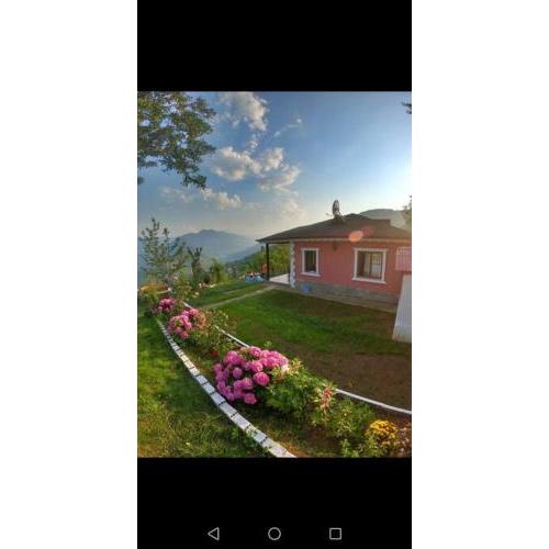 Laysa Home