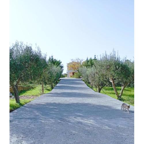 Le 3 Rose apartments