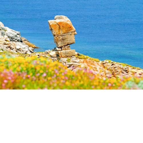Le Case di Felicita
