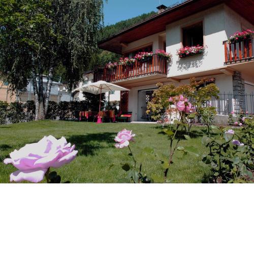 Le Colombe