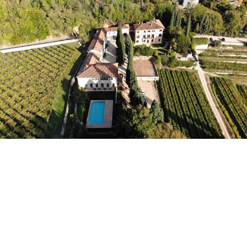 LE COSTE