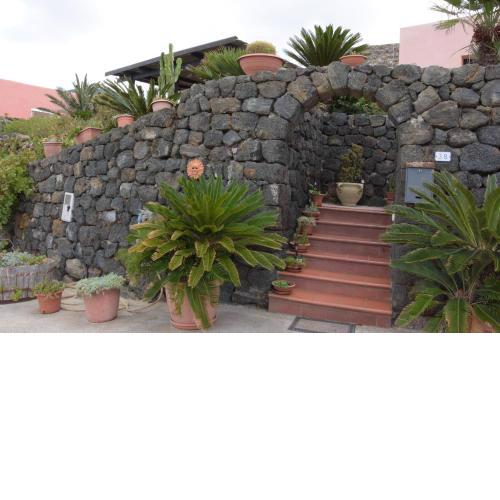 Le Due Cycas