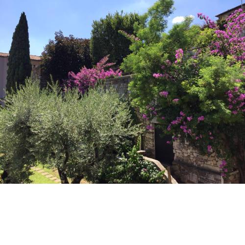 Le finestre sugli ulivi