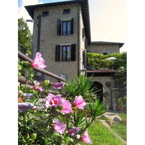 Le Fiorini