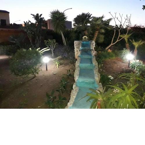 Le Palme Tropicali