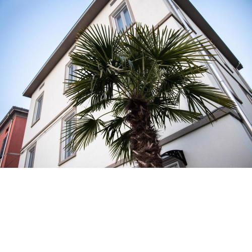 Le PALME