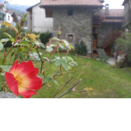 Le Panier