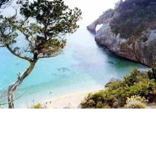 Le Pavoncelle Blu