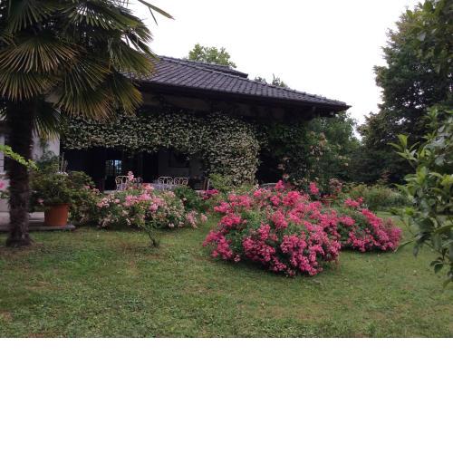Le querce