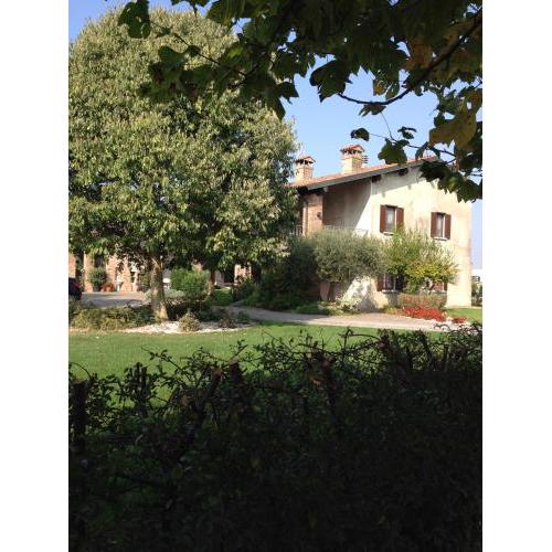 Le Rondini