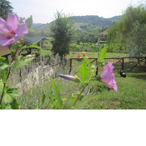 Le Spighe Agriturismo