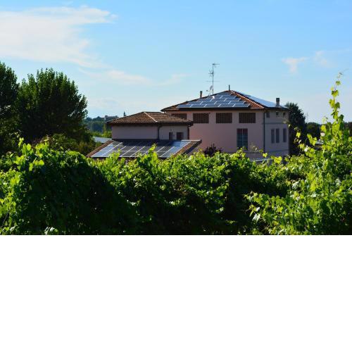 Le Stanze di Bacco