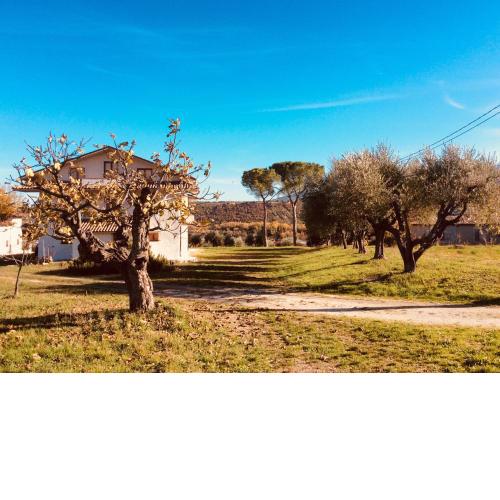 Le Terre D'Abruzzo