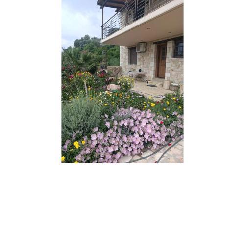 Lefkada view villa Vasiliki 2