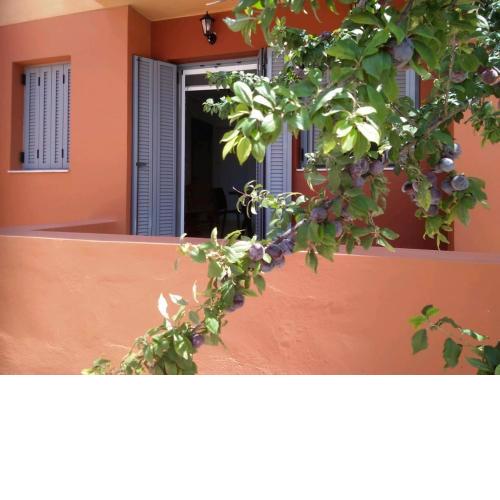 Lefkas Apartment