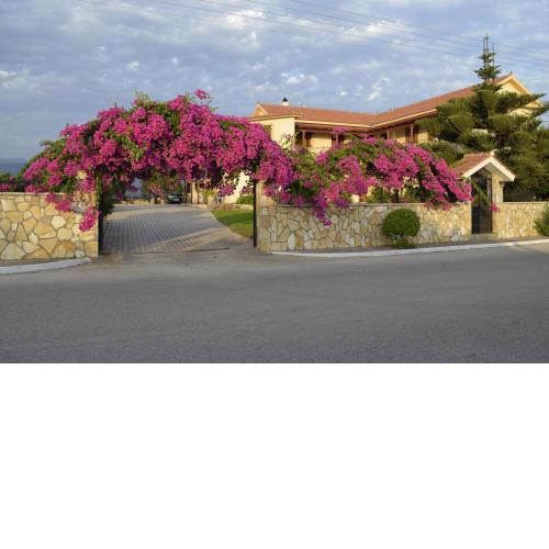 Lefki Studios
