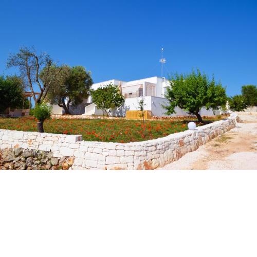 Lem Lem B&B