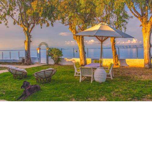 LeMaMi Seafront Bungalows