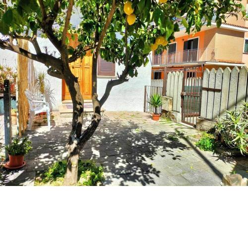 Lemon Casa con giardino