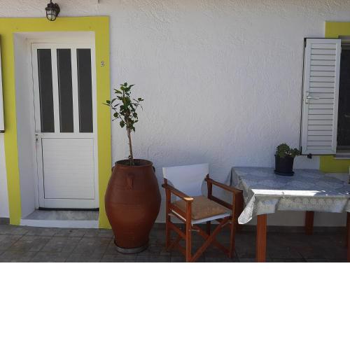 Lemon Garden 2