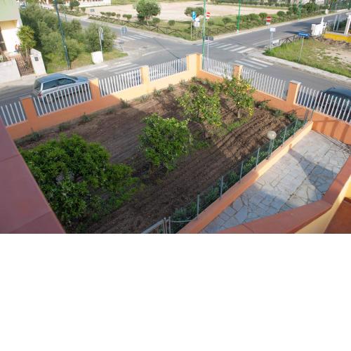 Lemon House