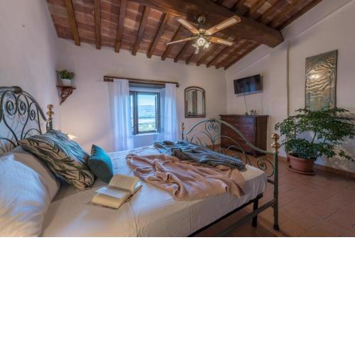 Lemon Tree Boutique Guest House