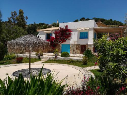 Lemon Tree Cottage