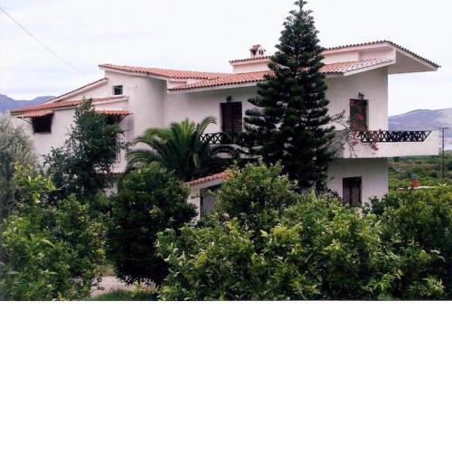 Lemon tree house