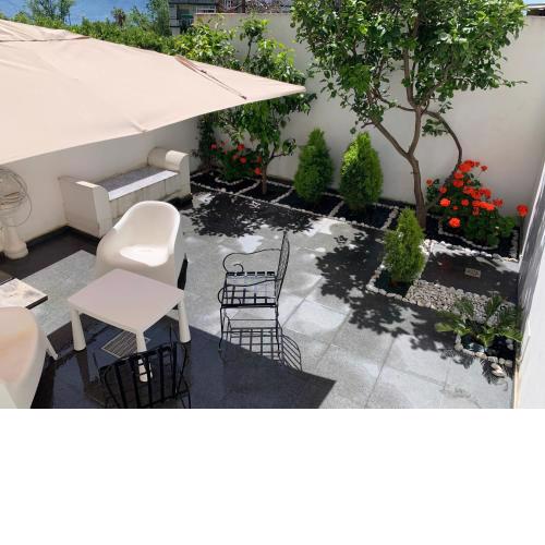 Lemon Tree