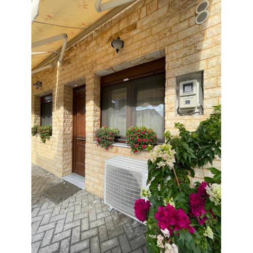 LEONORA’S APARTMENT