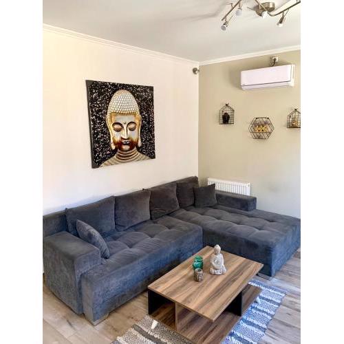 Leo's city apartment