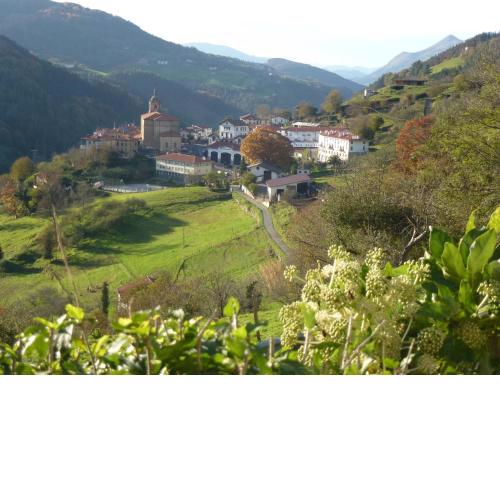 Letea