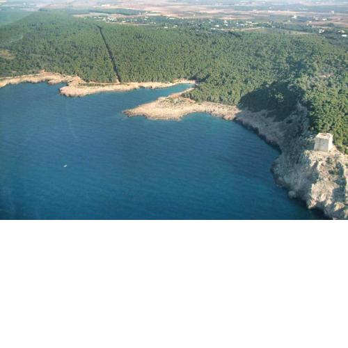 li uluzzi