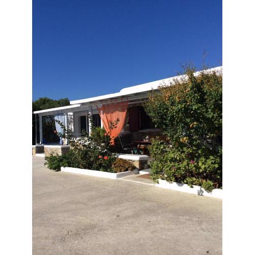 Liana Studios
