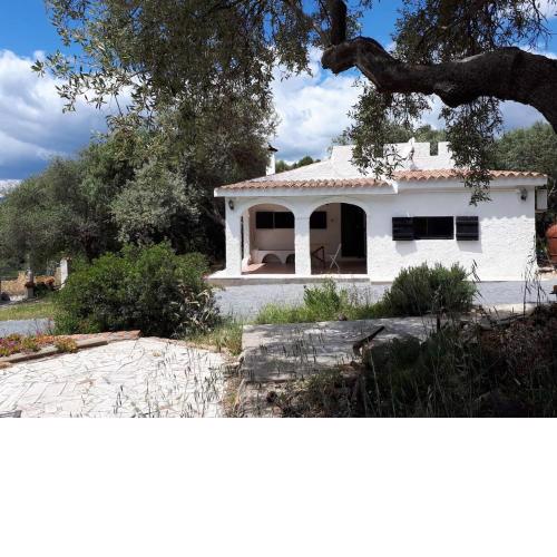 Lilly - Lovely small Villa among Olive Trees