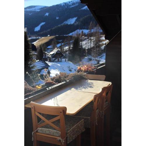 Lilly Chalet- Apartments with private sauna, close to ski lifts