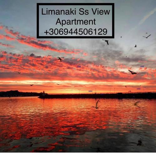 Limanaki Ss View Apartment