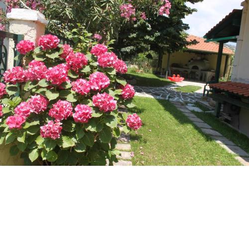 Lina Studios