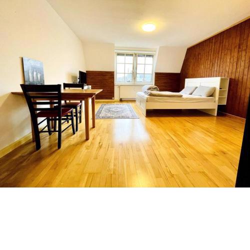 Linz Studio Condo near the Central station