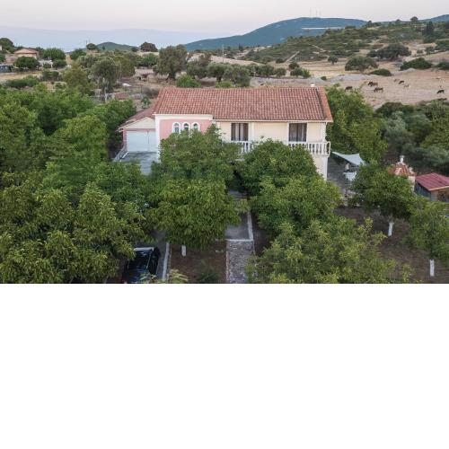 Lions Residence