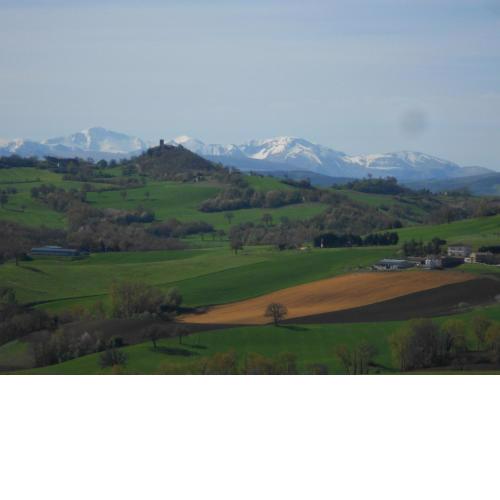 L'Isola Che Non C'era