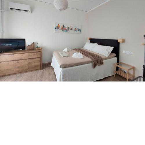 Little cozy appartment in Athens near the Metro